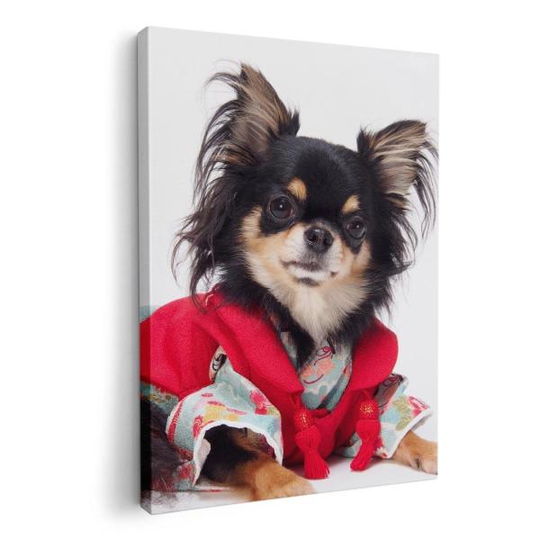 A[gpl G G  IׂTCY A1 A2 A3 A4 A5 6؂ `33 `45 005221 Aj} ʐ^Ei @`@ʐ^