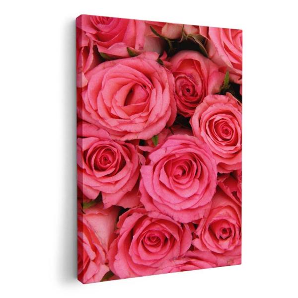 A[gpl G G  IׂTCY A1 A2 A3 A4 A5 6؂ `33 `45 005315 ʐ^Ei t[ ԁ@KN@sN