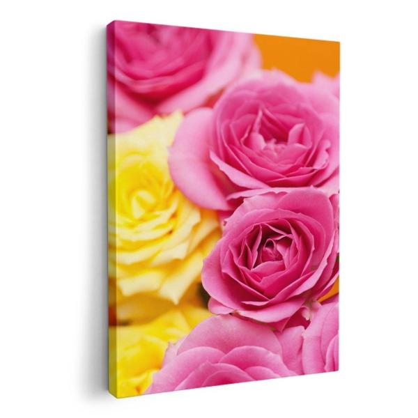 A[gpl G G  IׂTCY A1 A2 A3 A4 A5 6؂ `33 `45 005337 t[ sN@F@