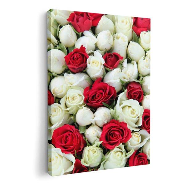 A[gpl G G  IׂTCY A1 A2 A3 A4 A5 6؂ `33 `45 005352 t[ ʐ^Ei ԁ@@t[@