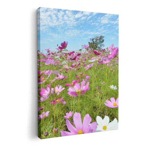 A[gpl G G  IׂTCY A1 A2 A3 A4 A5 6؂ `33 `45 005394 t[ ʐ^Ei ʐ^@ԁ@t[@