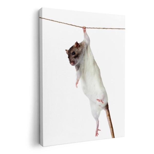 A[gpl G G  IׂTCY A1 A2 A3 A4 A5 6؂ `33 `45 005911 Aj} ʐ^Ei ʐ^@@˂