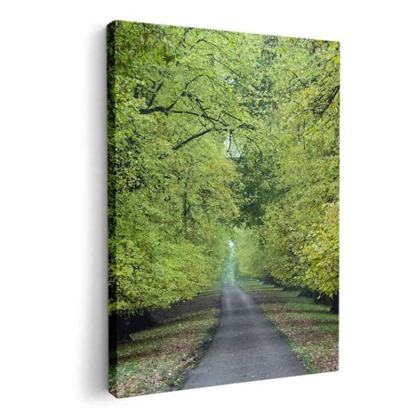 A[gpl G G  IׂTCY A1 A2 A3 A4 A5 6؂ `33 `45 005917 ʐ^Ei ʐ^@ؓ