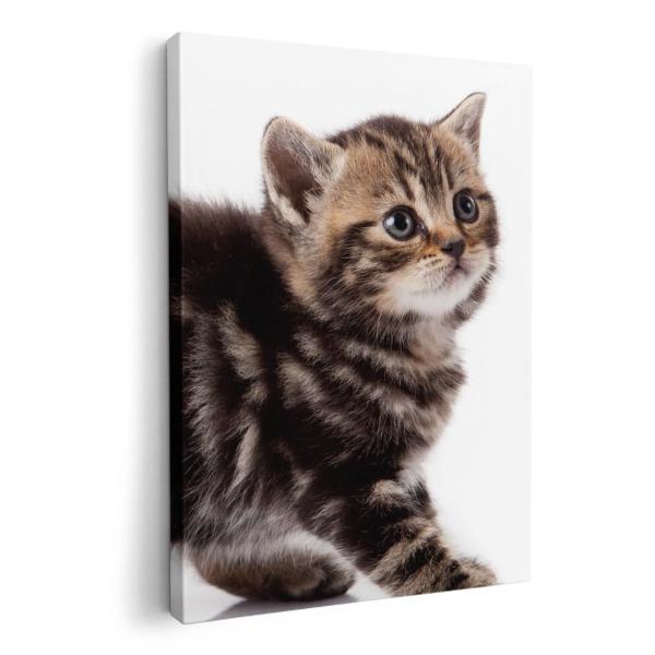 A[gpl G G  IׂTCY A1 A2 A3 A4 A5 6؂ `33 `45 005930 Aj} ʐ^Ei ʐ^@@L@˂