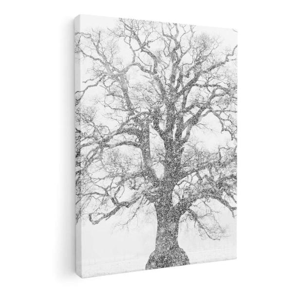 A[gpl G G  IׂTCY A1 A2 A3 A4 A5 6؂ `33 `45 006011 ̑ CXg@A@