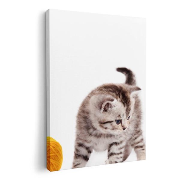 A[gpl G G  IׂTCY A1 A2 A3 A4 A5 6؂ `33 `45 006228 ʐ^Ei ʐ^@lR@˂