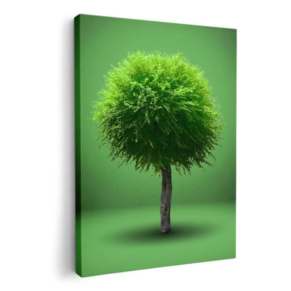 A[gpl G G  IׂTCY A1 A2 A3 A4 A5 6؂ `33 `45 006285 ʐ^Ei A@΁@O[