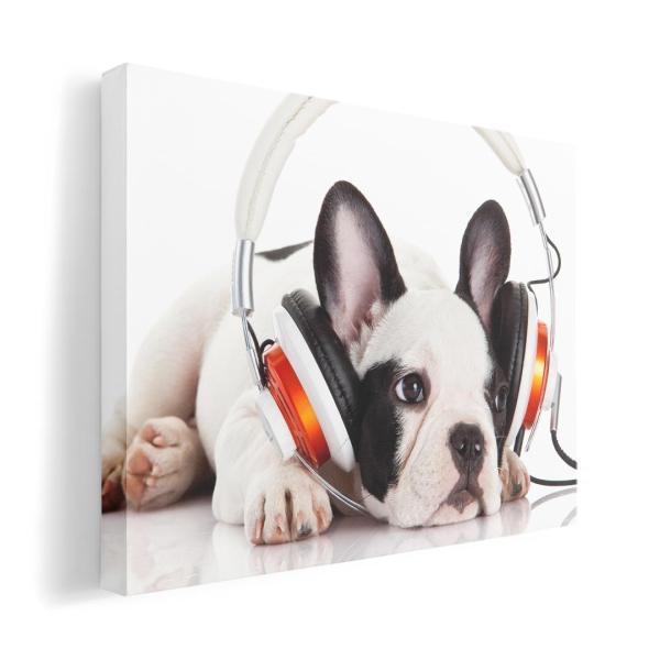 A[gpl G G  IׂTCY A1 A2 A3 A4 A5 6؂ `33 `45 006360 ʐ^Ei ʐ^@@