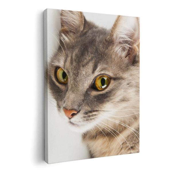 A[gpl G G  IׂTCY A1 A2 A3 A4 A5 6؂ `33 `45 006477 ʐ^Ei Aj} ʐ^@@˂