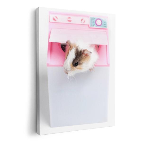 A[gpl G G  IׂTCY A1 A2 A3 A4 A5 6؂ `33 `45 006501 ʐ^Ei Aj} ʐ^@nX^[@