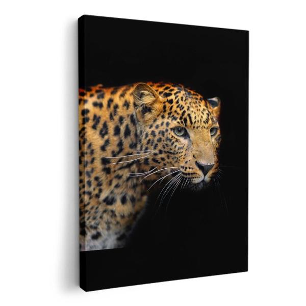 A[gpl G G  IׂTCY A1 A2 A3 A4 A5 6؂ `33 `45 006775 Aj} ʐ^@@qE