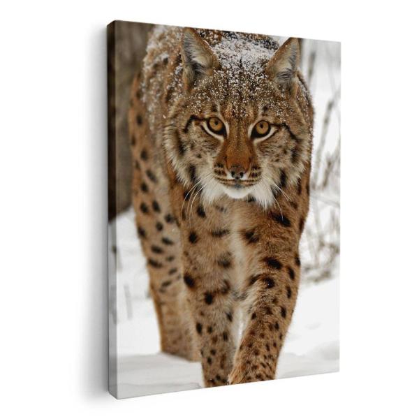 A[gpl G G  IׂTCY A1 A2 A3 A4 A5 6؂ `33 `45 006779 Aj} ʐ^@@