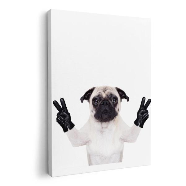 A[gpl G G  IׂTCY A1 A2 A3 A4 A5 6؂ `33 `45 006895 j[N Aj} @@ʐ^