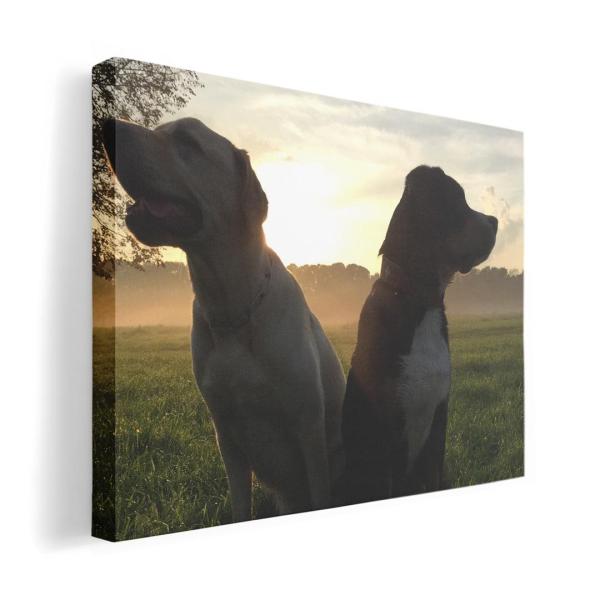 A[gpl G G  IׂTCY A1 A2 A3 A4 A5 6؂ `33 `45 006937 Aj} ʐ^Ei ʐ^@