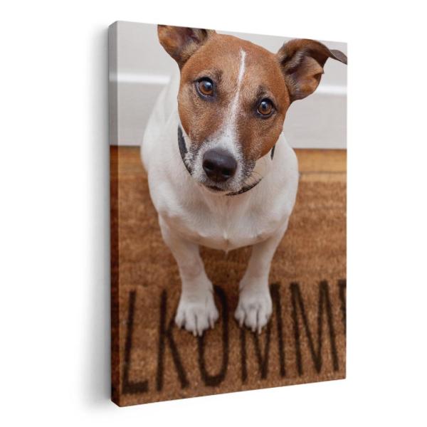 A[gpl G G  IׂTCY A1 A2 A3 A4 A5 6؂ `33 `45 007766 Aj} ʐ^@@@zCg