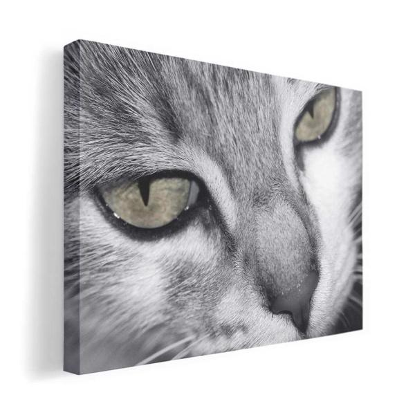 A[gpl G G  IׂTCY A1 A2 A3 A4 A5 6؂ `33 `45 007896 Aj} ʐ^@L@˂@mN