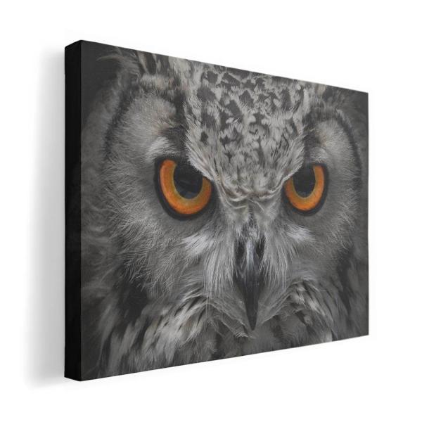 A[gpl G G  IׂTCY A1 A2 A3 A4 A5 6؂ `33 `45 007937 Aj} ʐ^@tNE@@ubN