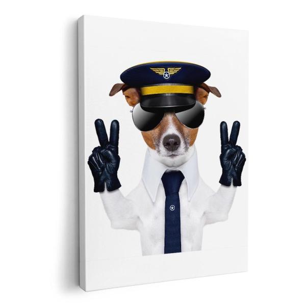 A[gpl G G  IׂTCY A1 A2 A3 A4 A5 6؂ `33 `45 007938 Aj} ʐ^@@TOX