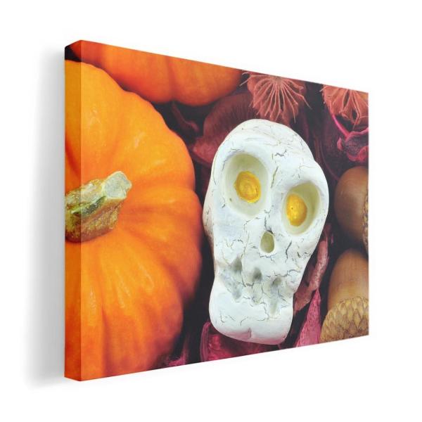 A[gpl G G  IׂTCY A1 A2 A3 A4 A5 6؂ `33 `45 007956 j[N ʐ^@J{`@nEB@[@hN