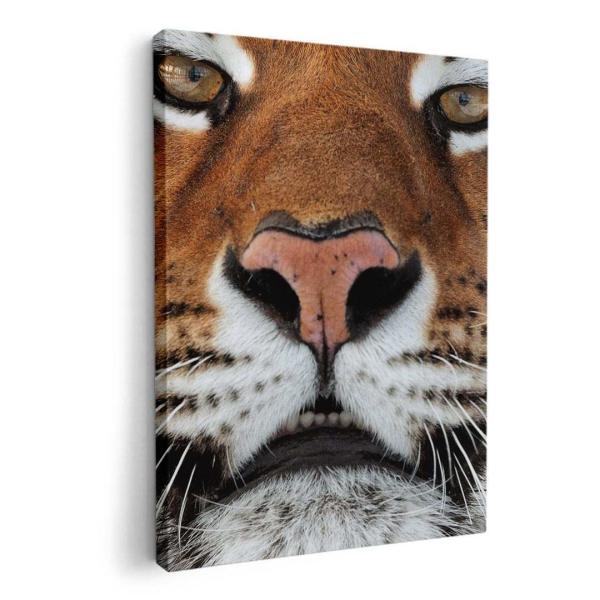 A[gpl G G  IׂTCY A1 A2 A3 A4 A5 6؂ `33 `45 008090 Aj} ʐ^Ei ʐ^@g@Ձ@