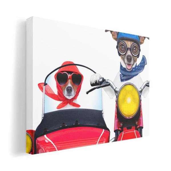 A[gpl G G  IׂTCY A1 A2 A3 A4 A5 6؂ `33 `45 008126 j[N Aj} ʐ^@@oCN@ԁ@bh