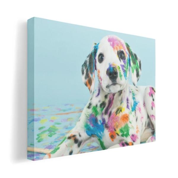 A[gpl G G  IׂTCY A1 A2 A3 A4 A5 6؂ `33 `45 008181 Aj} ʐ^@Jt@yL@@CN