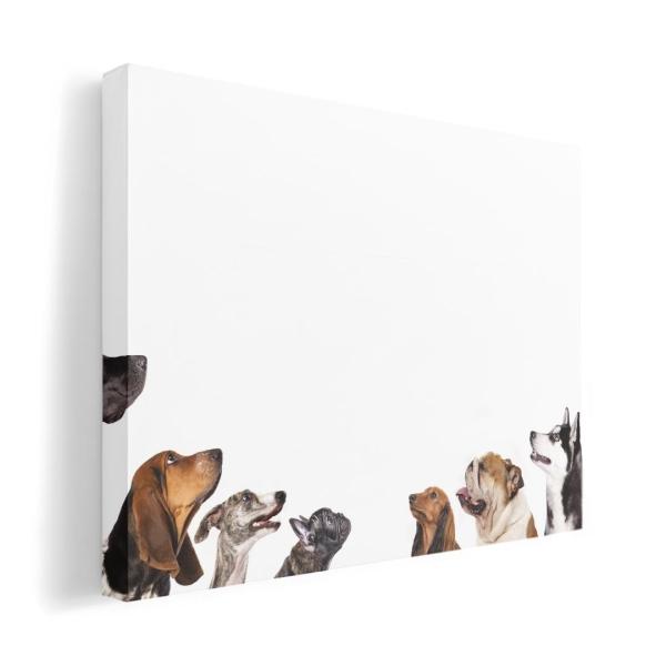 A[gpl G G  IׂTCY A1 A2 A3 A4 A5 6؂ `33 `45 008190 Aj} ʐ^@@ʁ@@zCg