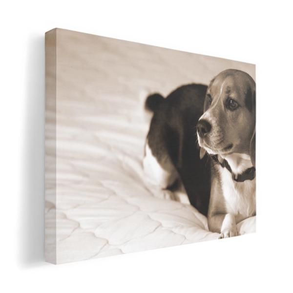 A[gpl G G  IׂTCY A1 A2 A3 A4 A5 6؂ `33 `45 008194 Aj} ʐ^@ZsA@