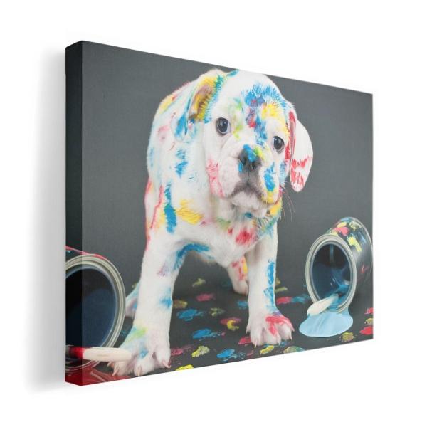 A[gpl G G  IׂTCY A1 A2 A3 A4 A5 6؂ `33 `45 008304 Aj} @ʐ^@yL@CN@Jt