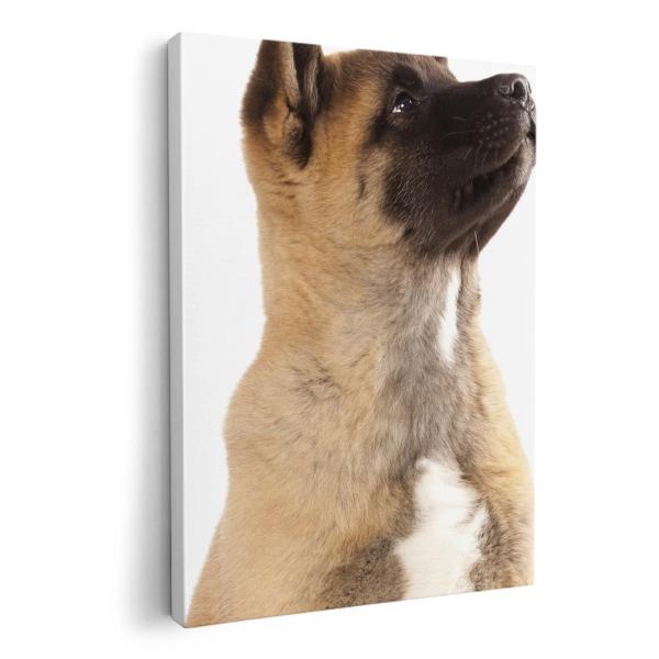 A[gpl G G  IׂTCY A1 A2 A3 A4 A5 6؂ `33 `45 008364 Aj} ʐ^@@L