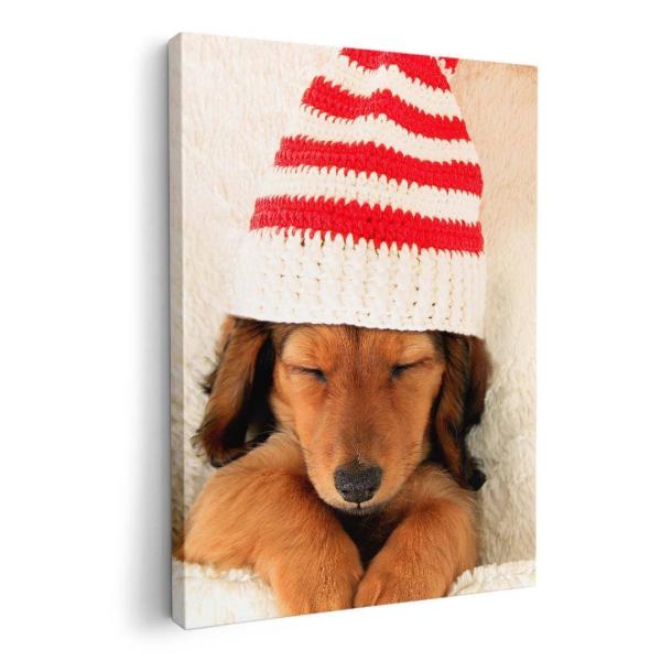 A[gpl G G  IׂTCY A1 A2 A3 A4 A5 6؂ `33 `45 008439 Aj} ʐ^@@Xq@ԁ@bh