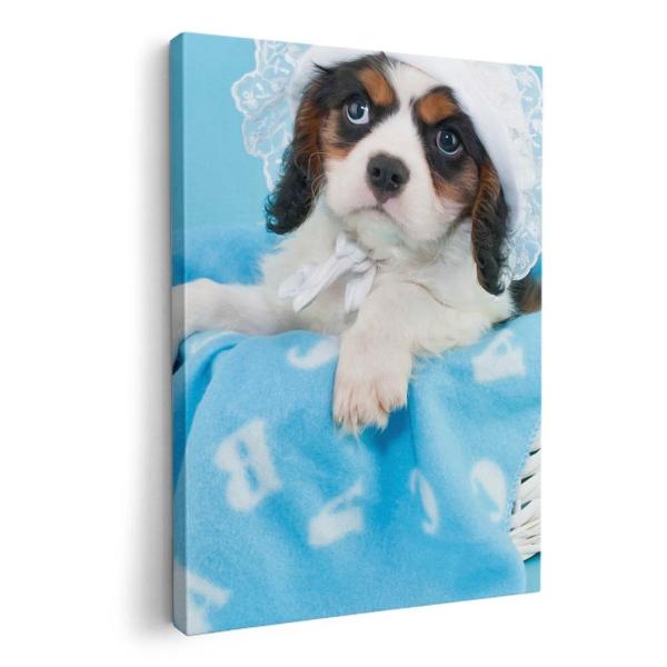 A[gpl G G  IׂTCY A1 A2 A3 A4 A5 6؂ `33 `45 008499 Aj} ʐ^@F@@u[@