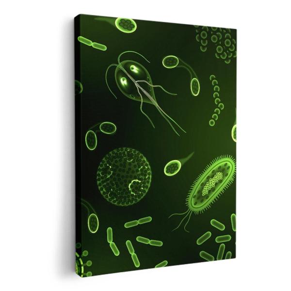 A[gpl G G  IׂTCY A1 A2 A3 A4 A5 6؂ `33 `45 008781 j[N ΁@O[@