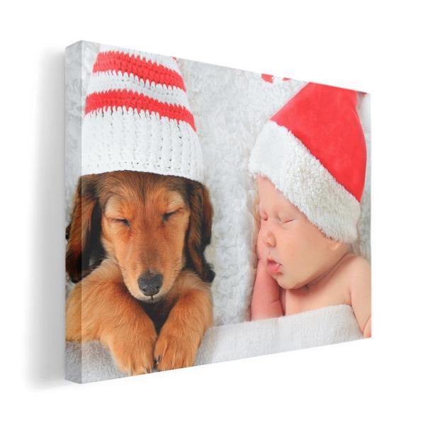 A[gpl G G  IׂTCY A1 A2 A3 A4 A5 6؂ `33 `45 008803 Aj} ʐ^@@~@