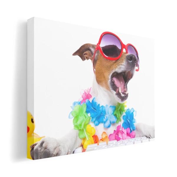 A[gpl G G  IׂTCY A1 A2 A3 A4 A5 6؂ `33 `45 008914 Aj} ʐ^@Jt@@