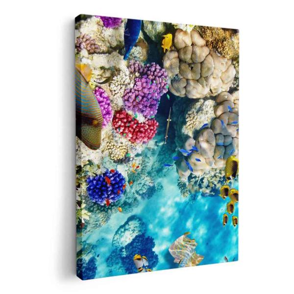 A[gpl G G  IׂTCY A1 A2 A3 A4 A5 6؂ `33 `45 008923 ʐ^Ei ʐ^@@C@X