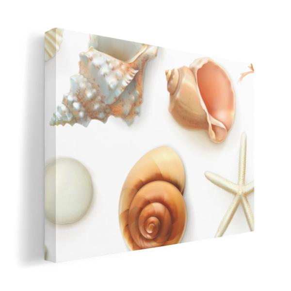 A[gpl G G  IׂTCY A1 A2 A3 A4 A5 6؂ `33 `45 009662  Lk@C@l