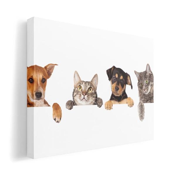 A[gpl G G  IׂTCY A1 A2 A3 A4 A5 6؂ `33 `45 009675  @L@ʐ^