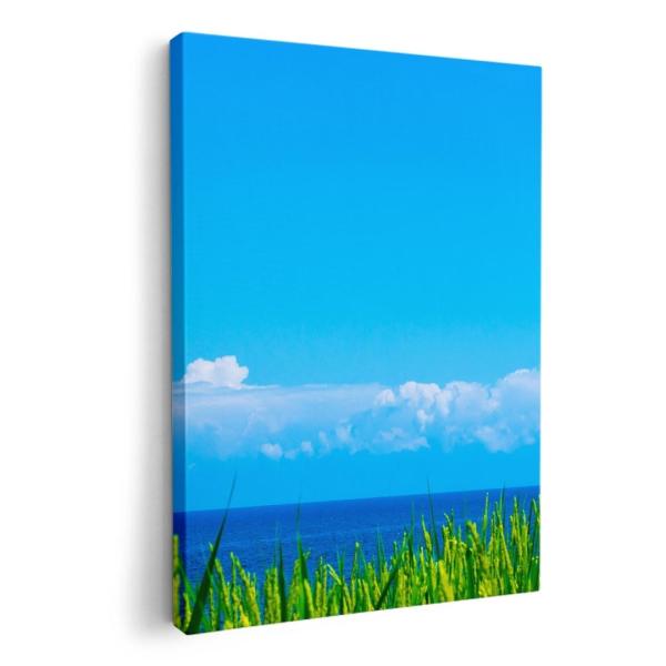 A[gpl G G  IׂTCY A1 A2 A3 A4 A5 6؂ `33 `45 009748  i@@C@ʐ^