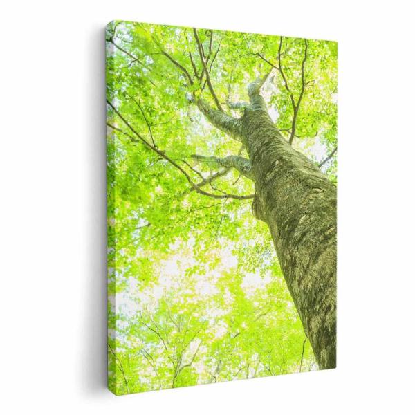 A[gpl G G  IׂTCY A1 A2 A3 A4 A5 6؂ `33 `45 009755  A@΁@ʐ^