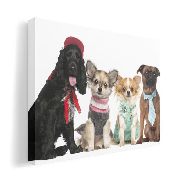 A[gpl G G  IׂTCY A1 A2 A3 A4 A5 6؂ `33 `45 009810  @@ʐ^