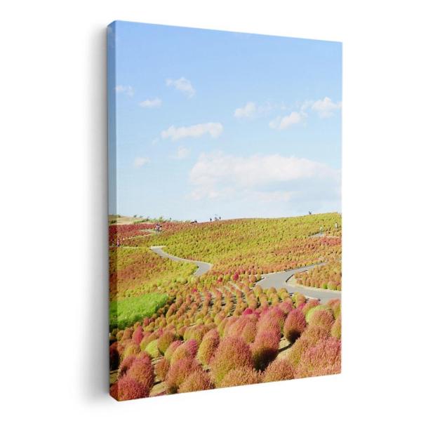 A[gpl G G  IׂTCY A1 A2 A3 A4 A5 6؂ `33 `45 009816  i@iF@ʐ^