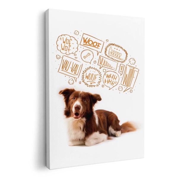 A[gpl G G  IׂTCY A1 A2 A3 A4 A5 6؂ `33 `45 009897  @@ʐ^