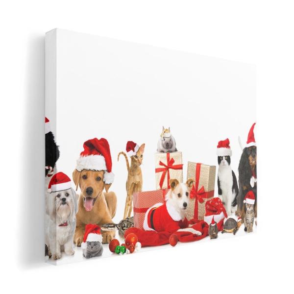 A[gpl G G  IׂTCY A1 A2 A3 A4 A5 6؂ `33 `45 009931  NX}X@@@L