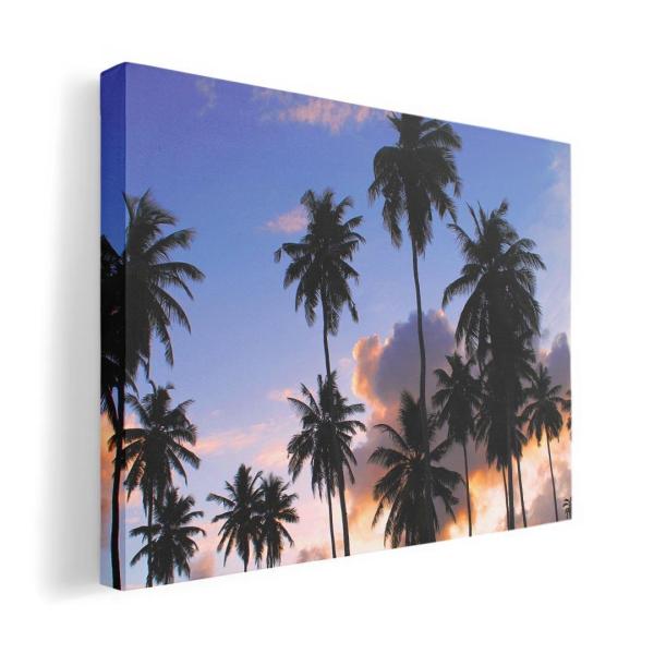 A[gpl G G  IׂTCY A1 A2 A3 A4 A5 6؂ `33 `45 010821  V̖؁@@ʐ^