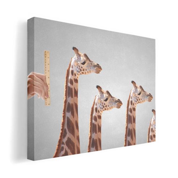 A[gpl G G  IׂTCY A1 A2 A3 A4 A5 6؂ `33 `45 010988  @@ʐ^