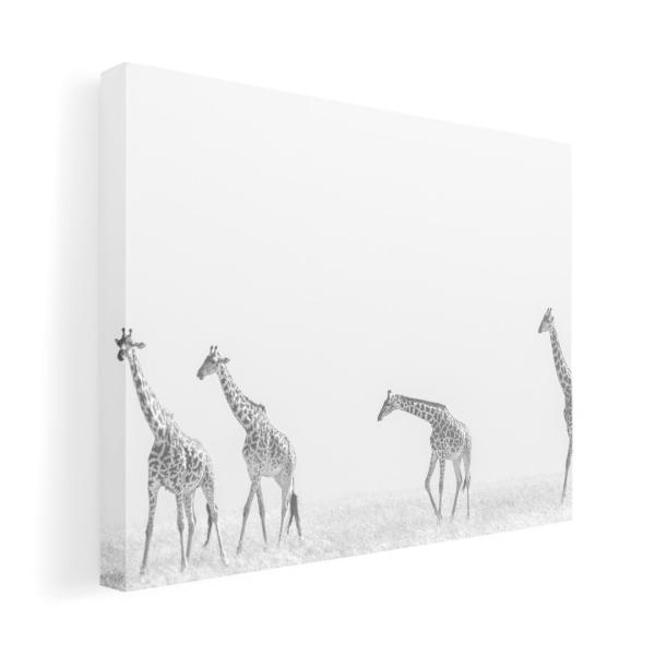 A[gpl G G  IׂTCY A1 A2 A3 A4 A5 6؂ `33 `45 011004  @Tt@@