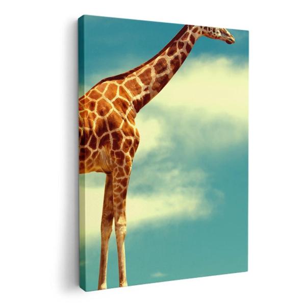 A[gpl G G  IׂTCY A1 A2 A3 A4 A5 6؂ `33 `45 011010  @@jn