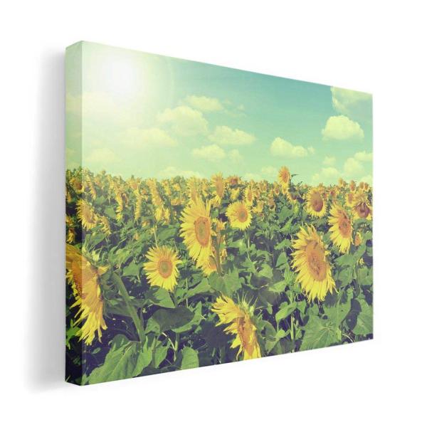 A[gpl G G  IׂTCY A1 A2 A3 A4 A5 6؂ `33 `45 011053  ԁ@Ђ܂@