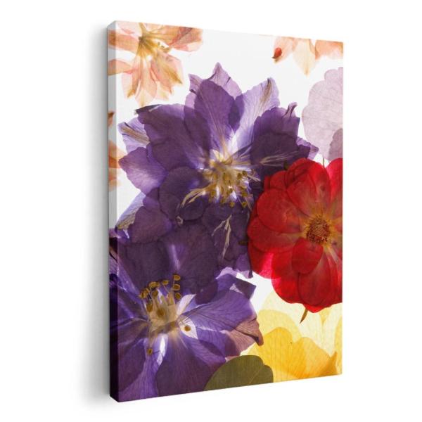 �A�[�g�p�l�� �G �G�� ���� �I�ׂ�T�C�Y A1 A2 A3 A4 A5 6�؂� �����`33 �����`45 011228  �ԁ@�����ԁ@�J���t��